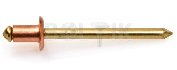 ISO 16582 Заклёпка Cu/Brass c плоской головкой 